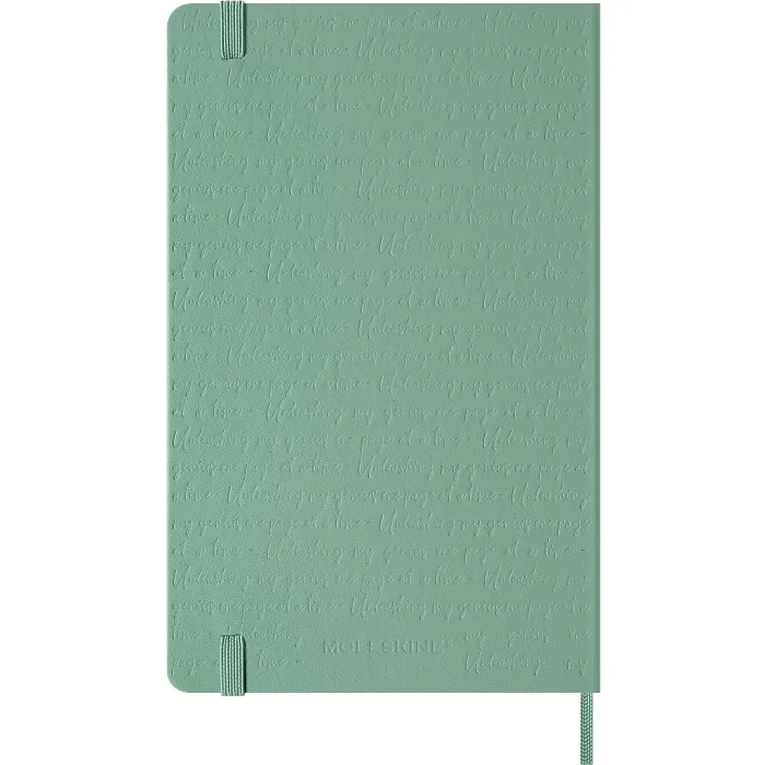 Libreta relieve, tapa dura, grande, hojas rayadas, verde salvia — Interior 6