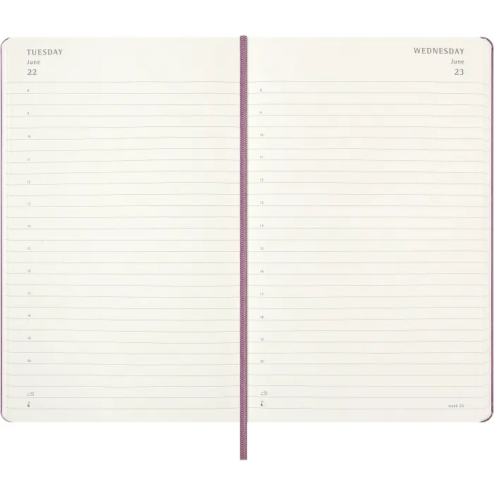 Agenda Diaria Clásica 12 Meses 2027, Tapa Dura, Grande, Rosa Majestuoso — Interior 3